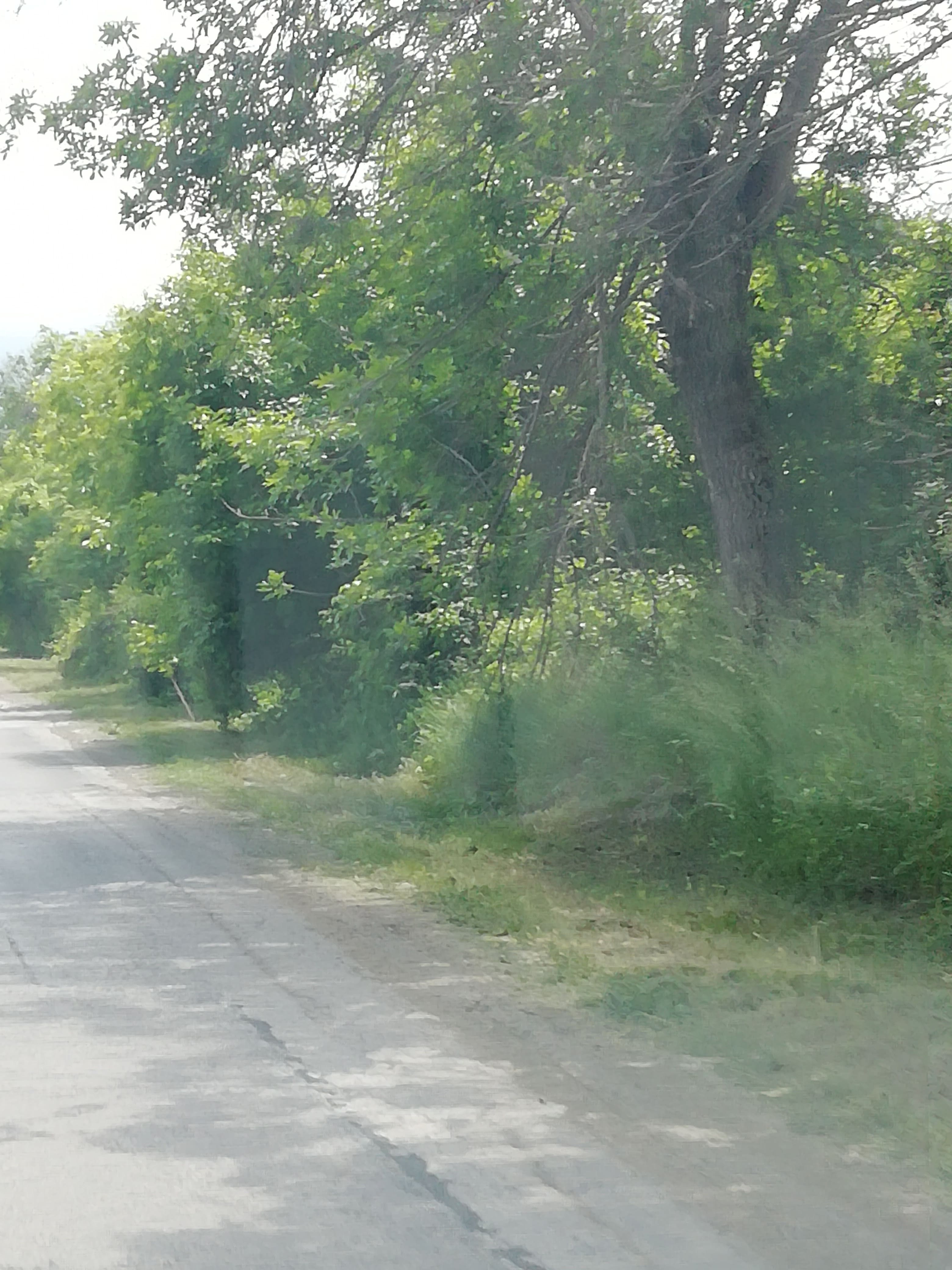 IMG 20190606 132330