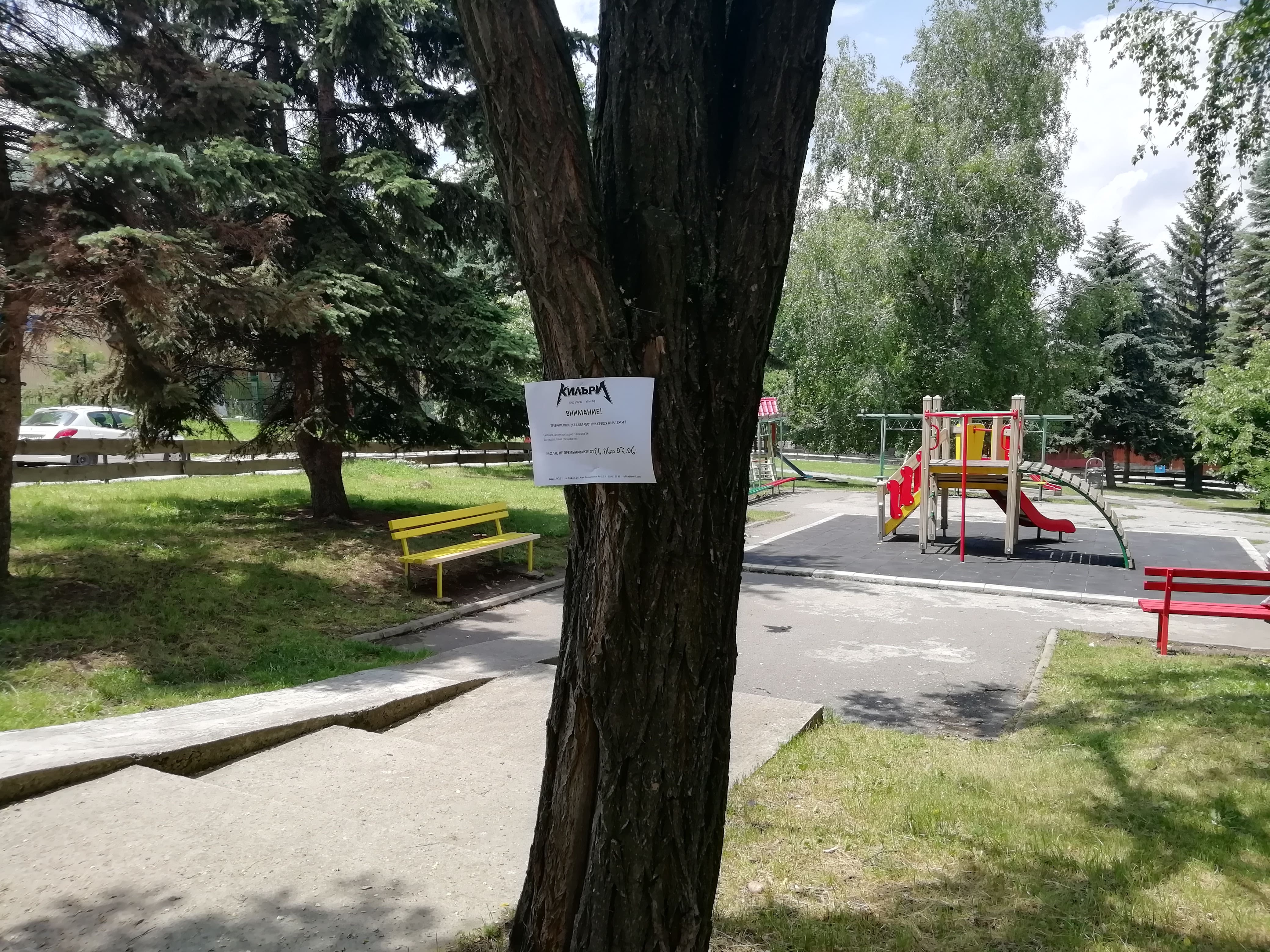 IMG 20190606 132721