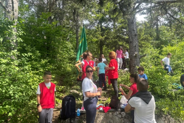 polovrak2615FC6CAE-A06D-8A42-53AA-ED63C2B6DCE3.jpg
