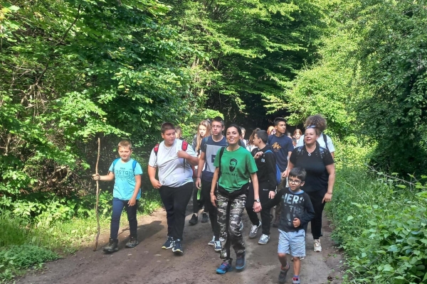polovrak380CFA8A03-9C35-865A-F69B-57BD0858F4B9.jpg